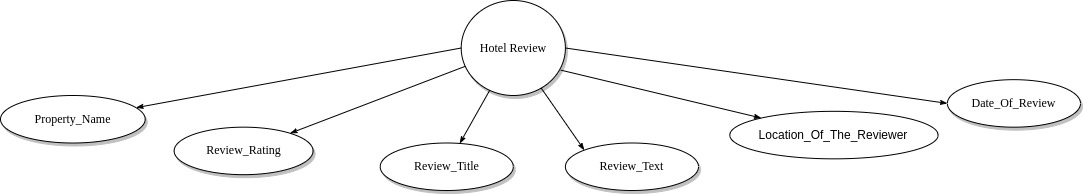 Schema of a hotel review